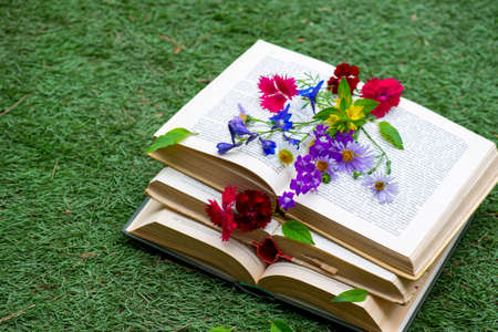a lot of open book with flowers in a clearingの写真素材