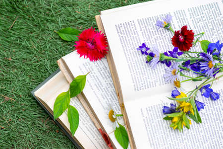 yellow flowers lie on books open in a clearingの写真素材