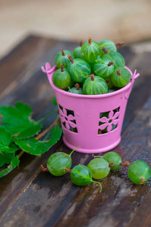 green gooseberries in a pink bucket liesの写真素材