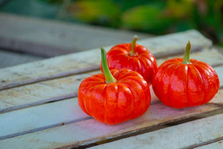 juicy orange pumpkins on a wooden background standの写真素材