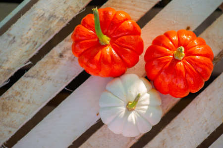 three bright little pumpkins lie on the boardの写真素材