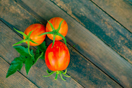 three tomatoes lie on a green backgroundの写真素材