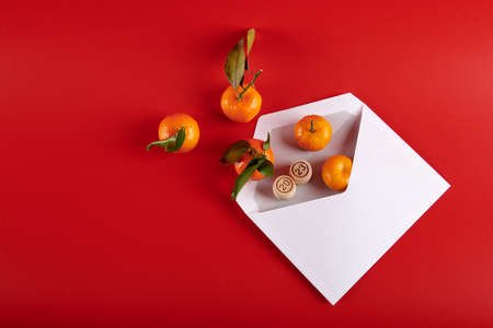 2023 and tangerines in a white envelope on a red backgroundの写真素材