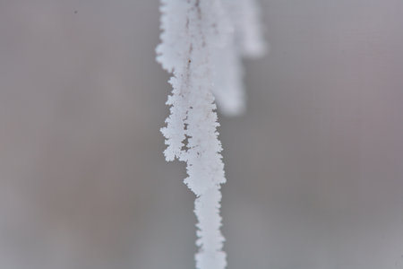 bare tree branches covered with snow in winterの写真素材