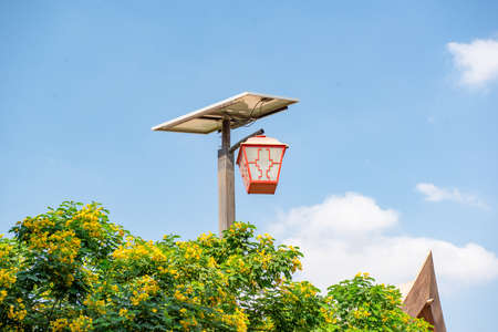 beautiful original street lamp in dubai zooの写真素材