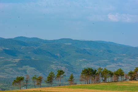 summer landscape with mountains and trees in georgiaの写真素材
