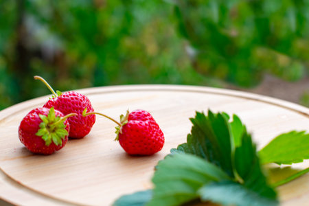 strawberries with leaves lie on a wooden plankの写真素材