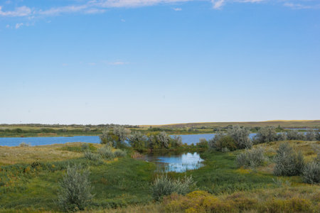 picturesque landscape of seleta river and beach in Kazakhstanの写真素材