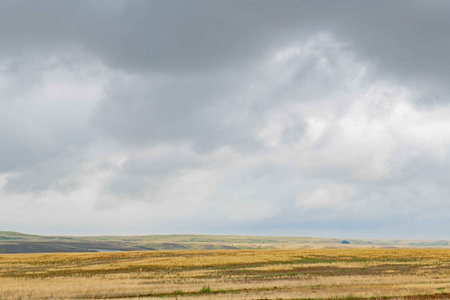 Sky with clouds and yellow steppe in summerの写真素材