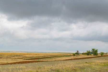 The sky is full of rainy clouds and the steppe is yellowの写真素材