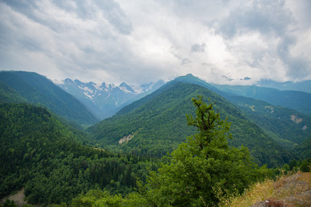 Tranquility Unveiled: Blue Skies Reveal the Beauty of Green Mountains