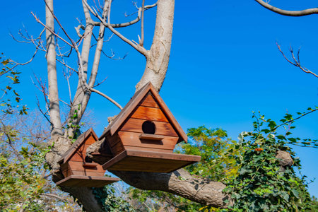 one birdhouse in the zoological park