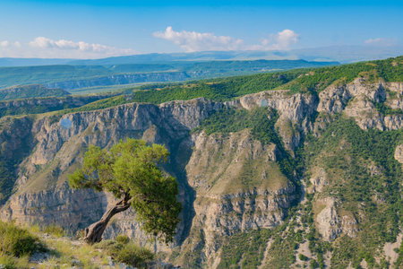 gorgeous view from the height of the mountains to the Sulak Canyonの写真素材