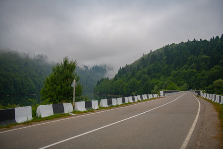 A car-free road in the morning in the fog in Georgiaの写真素材