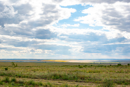 fields sown with wheat and corn in summer and the skyの写真素材