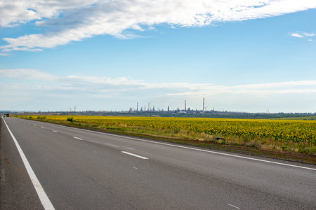 Beautiful road and fields green and yellowの写真素材