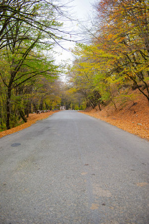 Narrow road in Azerbaijan in autumnの写真素材