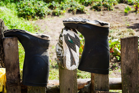 old dirty torn shoes on a wooden fence.の写真素材