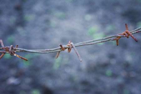 Sharp Ancient Rusty Barbed Wire. Abstract background.