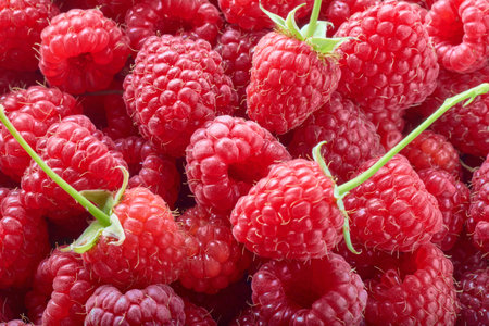 Red Ripe Delicious raspberries with green tail background. Raspberry texture. Healthy food organic...
