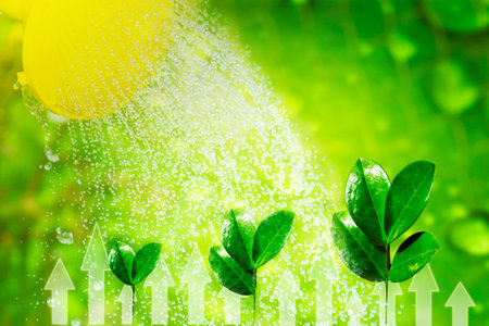 Watering plants with cans. Young shoots of plants under drops of rain. The concept of growth and fertility. Selective soft focusの写真素材