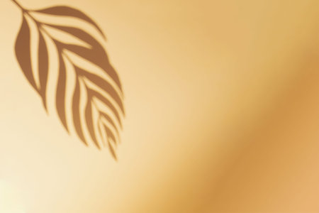 Tropical palm tree leaf shadow on sand beach. Minimal nature flat lay background. Creative copyspace...