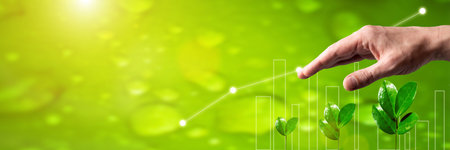 panoramic banner. Businessman hand safe protection Agriculture plant seeding growing. Business development growth, planning and strategy conceptの写真素材