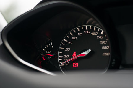 Speed and fuel gauges