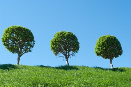  Park in Peterhof,St.Petersburg, Russiaの写真素材