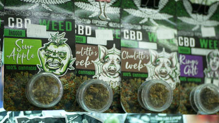 PRAGUE, CZECH REPUBLIC, SEPTEMBER 25, 2021: Cannabis bud dried shop medicinal hemp for smoking cigarettes joint harvested glass seeds sativa weed store, packaged hemp CBD, leaf symbolのeditorial素材