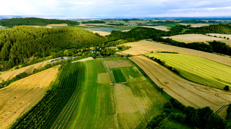 Lavender farm bio field drone aerial farming landscape area magic scenic sunset Lavandula...