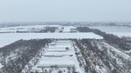Farm field winter drone aerial snow frost greenhouse foil bio cauliflower leaves leaf Brassica oleracea land crop farming harvest cultivated garden head organic gourd, agriculture plant Europeの写真素材