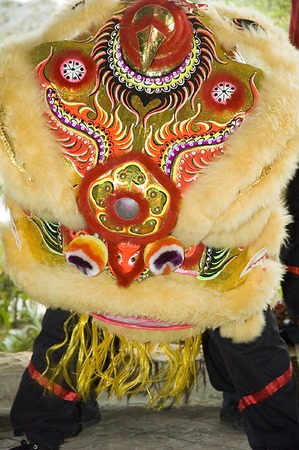 Lion dance bending down showing respectの写真素材