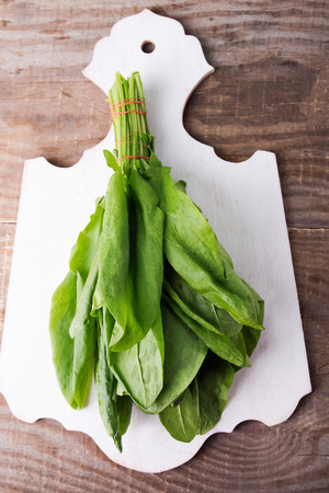 Sorrel bunch on a white wooden boardの写真素材