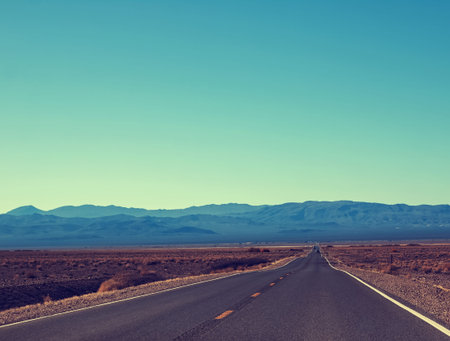 Straight lonely highway in a sunny day, retro toned photo