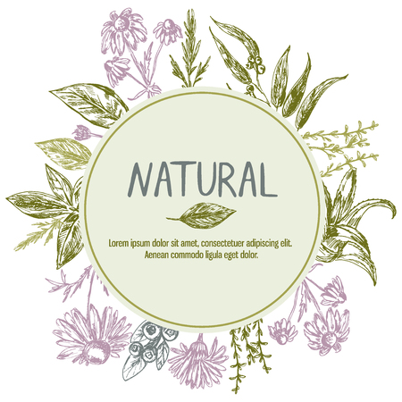 Template with hand drawn flowers and plants and place for textのイラスト素材