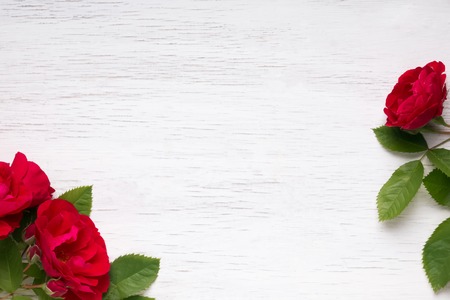 Red roses on the white wooden backgroundの写真素材