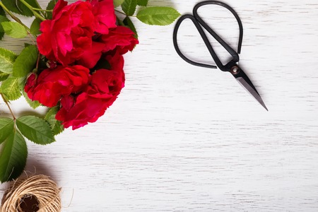 Red roses on the white wooden backgroundの写真素材