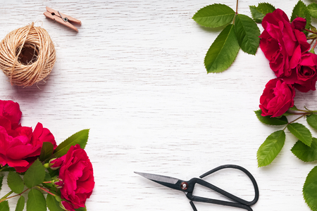 Red roses on the white table, top view. Creating a bouquet.の写真素材
