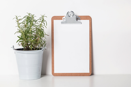 Rosemary in the pot and clipboard with blank paper. Recipe mock-up. の写真素材