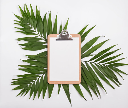 Clipboard mock-up on green tropic palm leavesの写真素材
