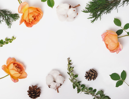 Beautiful plants and flowers on the white backgroundの写真素材