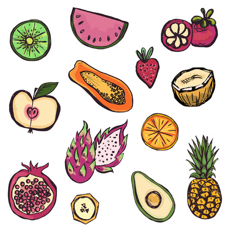 Hand drawn set of different kinds of fruitsのイラスト素材