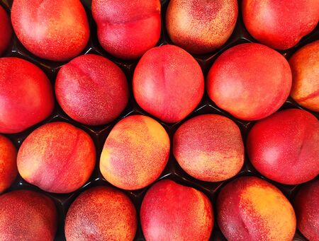 Fresh dellicious nectarines on farmers market.の写真素材
