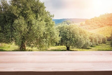 Empty wooden table for display montages with olive trees on backgroundの写真素材
