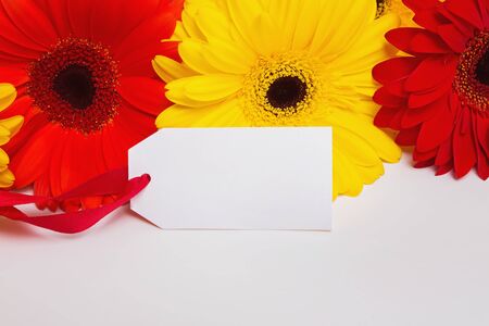 Bright gerbera flowers close-up and blank gift tag with place for textの写真素材