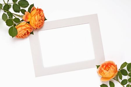 Creative mock-up with blank frame and beautiful rosesの写真素材