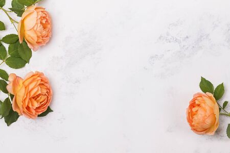 Orange roses on marble background, top view. Minimalist composition with copy space in the centerの写真素材