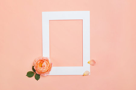 Creative minimalist mock-up with blank frame and rose flower on pastel color background, top view