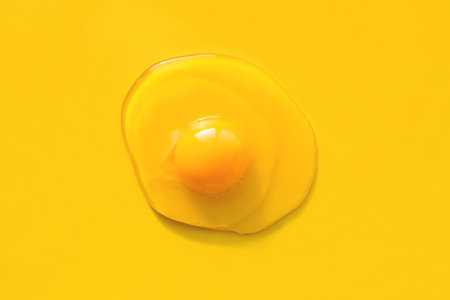 Fresh raw egg with yolk isolated on bright yellow background. Creative minimal concept